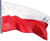 Polski węgiel
